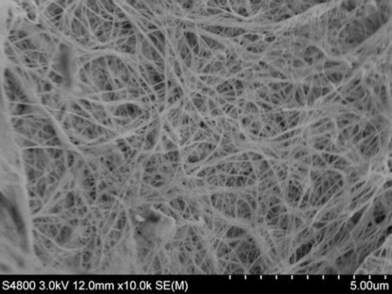 bacterial cellulose film