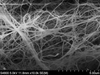 bacterial cellulose film